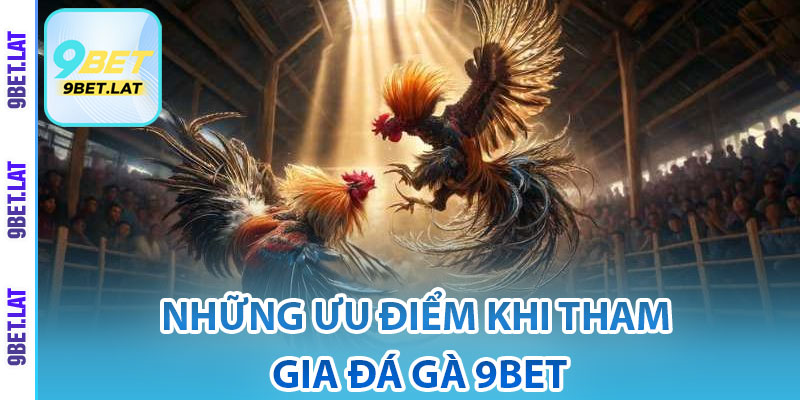 Đá Gà 9Bet – Sảnh Cược Đẳng Cấp, Trải Nghiệm Như Thực 4 Những ưu điểm khi tham gia đá gà 9Bet